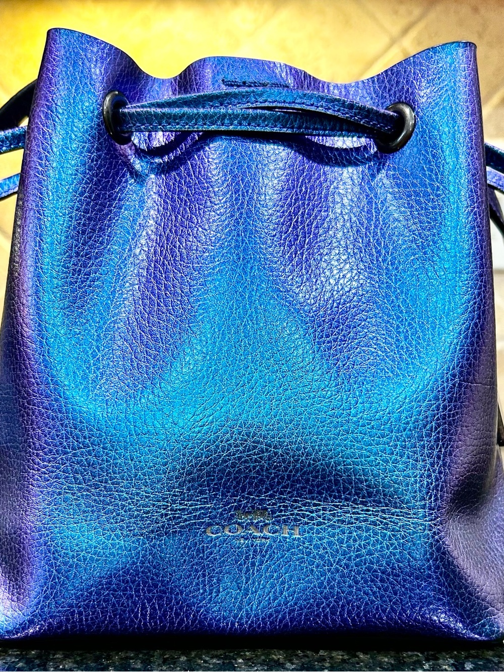 Coach NASA F29204 DerbyHologram Crossbody Blue PurplePebbled Leather Bag